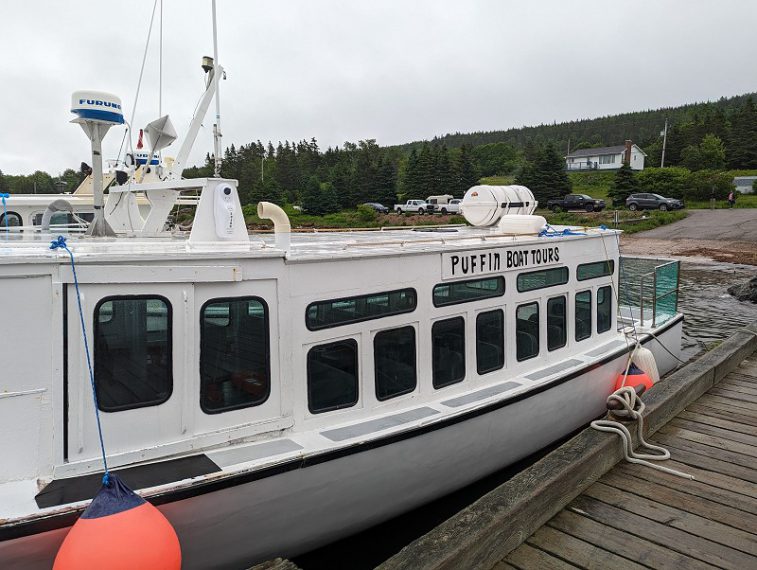 Donalda's Puffin Boat Tour