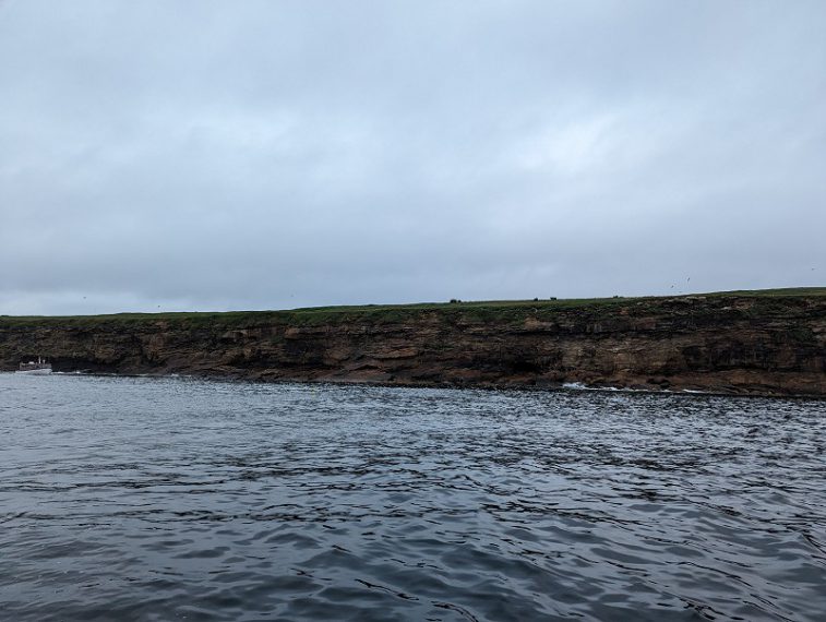 Donalda's Puffin Boat Tour